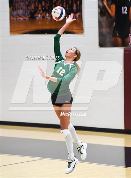 Thumbnail 2 in Basha @ Hamilton photogallery.