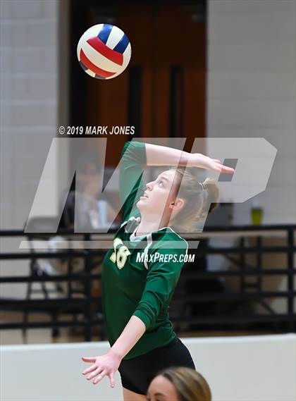 Thumbnail 3 in Basha @ Hamilton photogallery.
