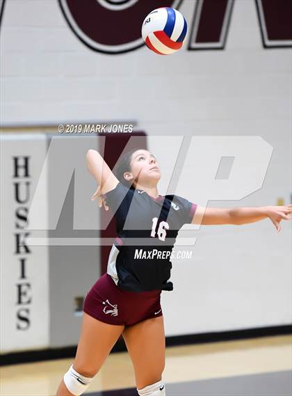 Thumbnail 2 in Basha @ Hamilton photogallery.