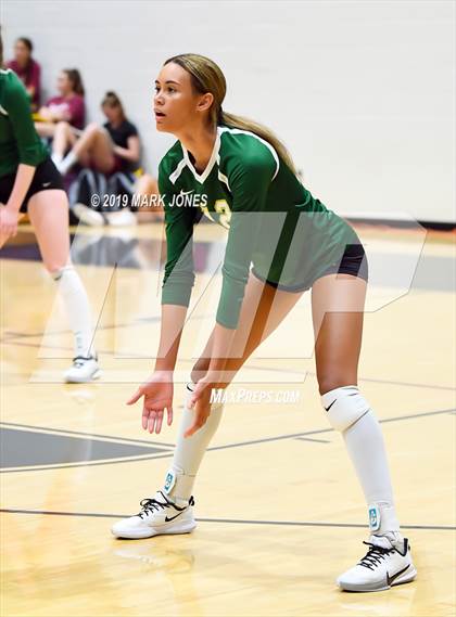 Thumbnail 1 in Basha @ Hamilton photogallery.