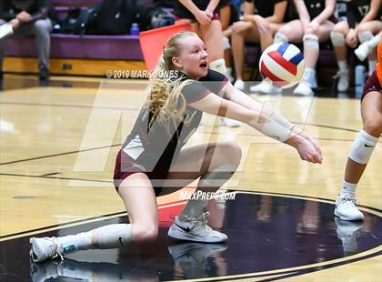 Thumbnail 2 in Basha @ Hamilton photogallery.