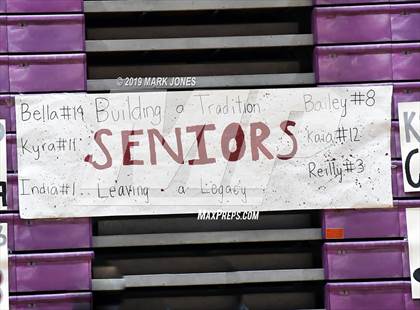 Thumbnail 3 in Basha @ Hamilton photogallery.