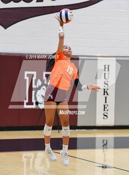 Thumbnail 1 in Basha @ Hamilton photogallery.