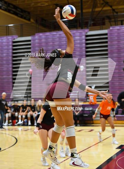 Thumbnail 2 in Basha @ Hamilton photogallery.