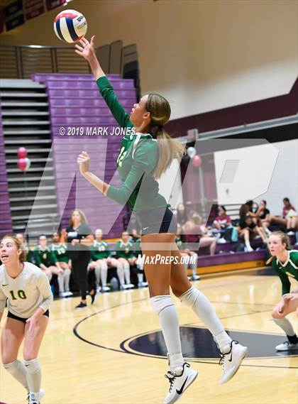 Thumbnail 1 in Basha @ Hamilton photogallery.