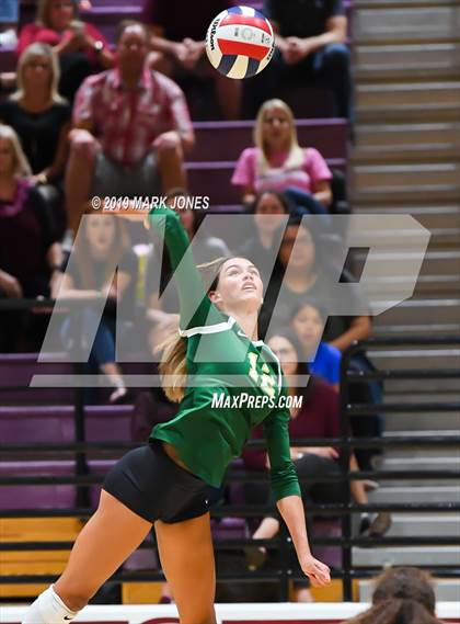 Thumbnail 2 in Basha @ Hamilton photogallery.