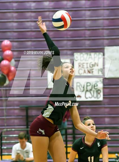Thumbnail 3 in Basha @ Hamilton photogallery.
