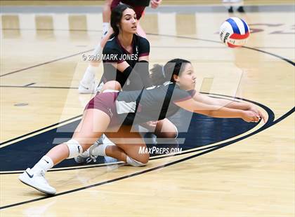 Thumbnail 1 in Basha @ Hamilton photogallery.