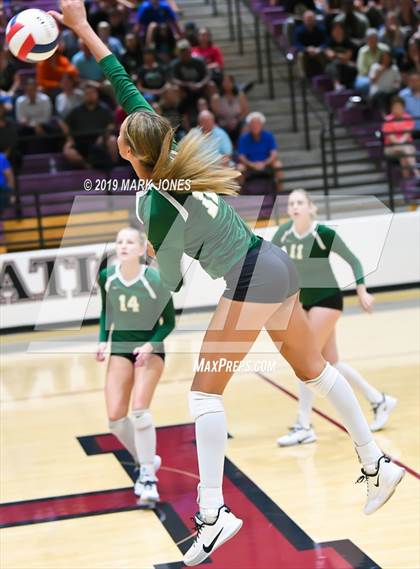 Thumbnail 1 in Basha @ Hamilton photogallery.