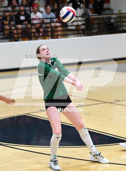 Thumbnail 2 in Basha @ Hamilton photogallery.