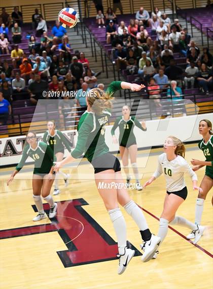 Thumbnail 2 in Basha @ Hamilton photogallery.