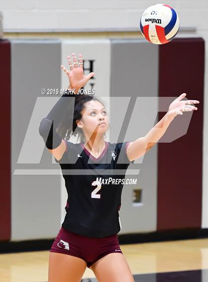 Thumbnail 3 in Basha @ Hamilton photogallery.