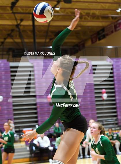 Thumbnail 1 in Basha @ Hamilton photogallery.