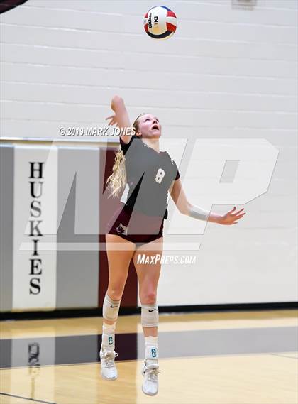 Thumbnail 2 in Basha @ Hamilton photogallery.