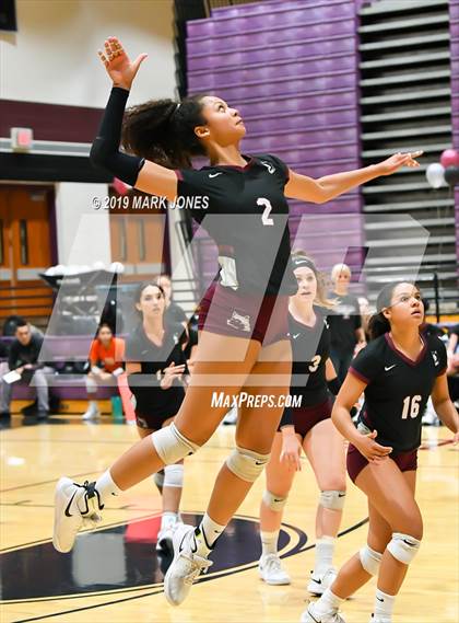 Thumbnail 3 in Basha @ Hamilton photogallery.