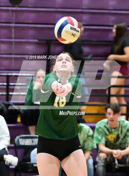 Thumbnail 1 in Basha @ Hamilton photogallery.