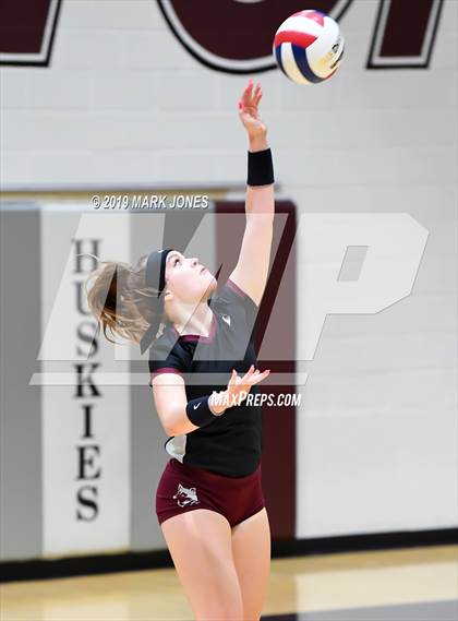Thumbnail 2 in Basha @ Hamilton photogallery.