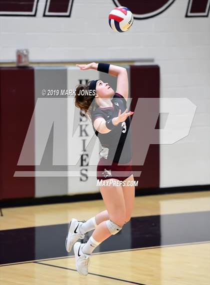 Thumbnail 1 in Basha @ Hamilton photogallery.