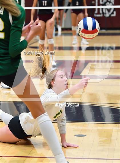 Thumbnail 2 in Basha @ Hamilton photogallery.