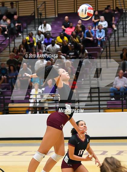 Thumbnail 1 in Basha @ Hamilton photogallery.