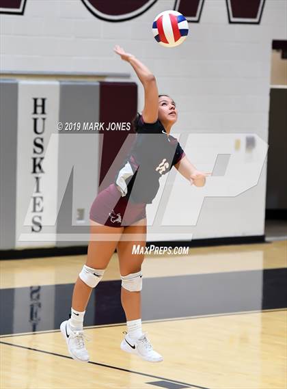 Thumbnail 1 in Basha @ Hamilton photogallery.