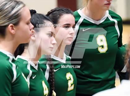 Thumbnail 1 in Basha @ Hamilton photogallery.