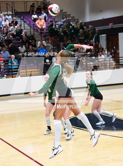 Thumbnail 3 in Basha @ Hamilton photogallery.