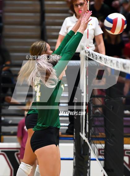 Thumbnail 2 in Basha @ Hamilton photogallery.