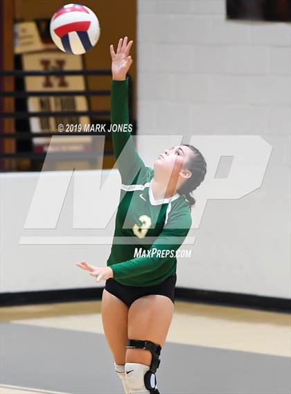 Thumbnail 3 in Basha @ Hamilton photogallery.