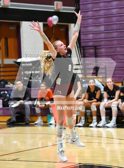 Thumbnail 2 in Basha @ Hamilton photogallery.