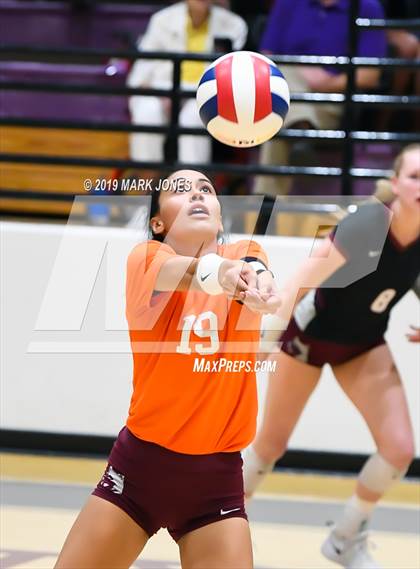 Thumbnail 2 in Basha @ Hamilton photogallery.