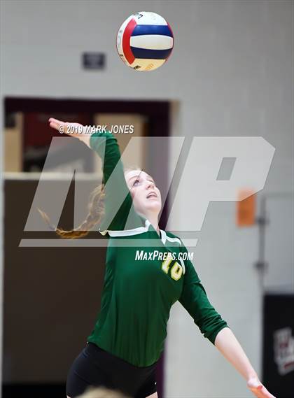 Thumbnail 3 in Basha @ Hamilton photogallery.