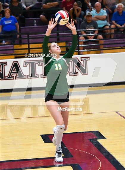 Thumbnail 2 in Basha @ Hamilton photogallery.