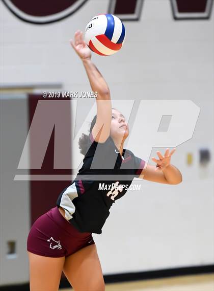 Thumbnail 3 in Basha @ Hamilton photogallery.