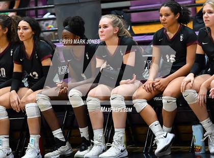 Thumbnail 2 in Basha @ Hamilton photogallery.