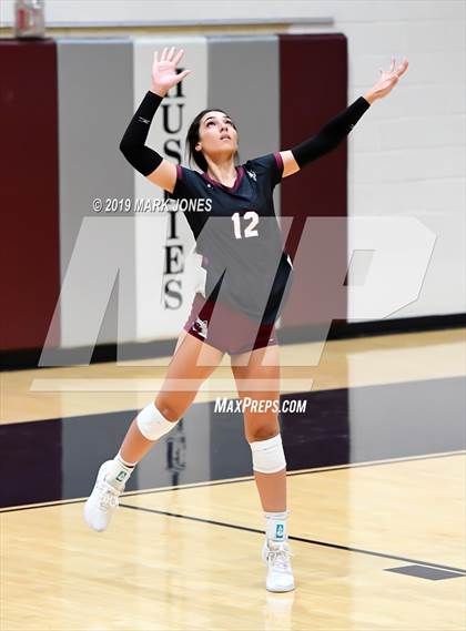 Thumbnail 3 in Basha @ Hamilton photogallery.