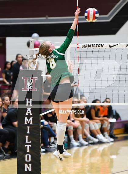 Thumbnail 3 in Basha @ Hamilton photogallery.