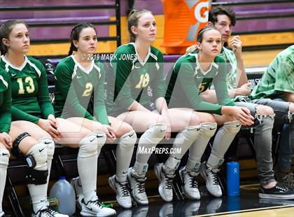 Thumbnail 1 in Basha @ Hamilton photogallery.