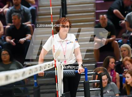 Thumbnail 1 in Basha @ Hamilton photogallery.