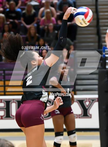 Thumbnail 3 in Basha @ Hamilton photogallery.