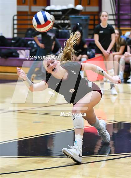 Thumbnail 1 in Basha @ Hamilton photogallery.