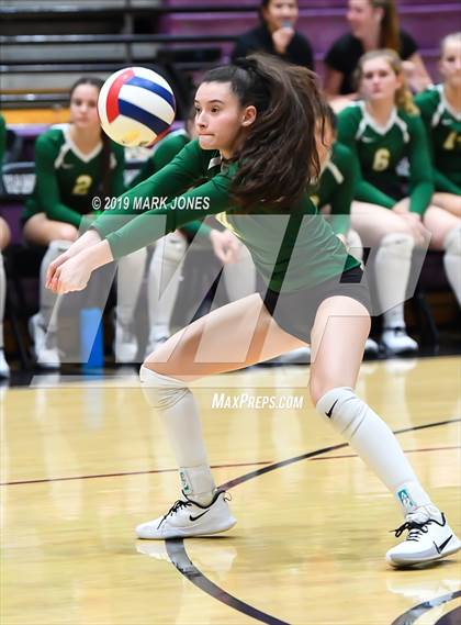 Thumbnail 3 in Basha @ Hamilton photogallery.