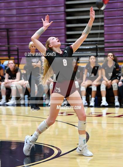 Thumbnail 2 in Basha @ Hamilton photogallery.