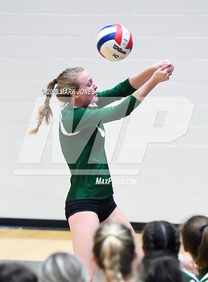 Thumbnail 1 in Basha @ Hamilton photogallery.