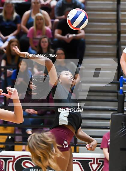 Thumbnail 1 in Basha @ Hamilton photogallery.
