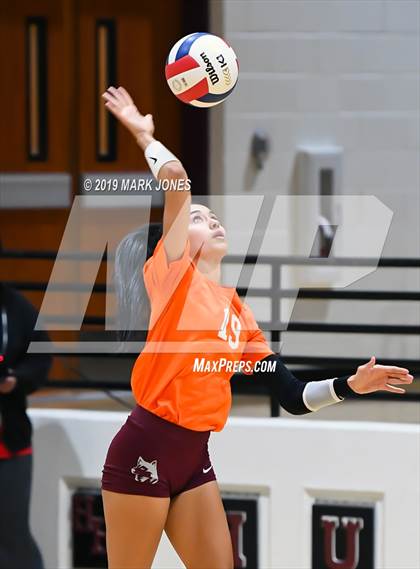 Thumbnail 1 in Basha @ Hamilton photogallery.
