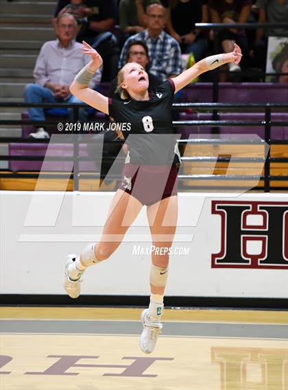 Thumbnail 1 in Basha @ Hamilton photogallery.