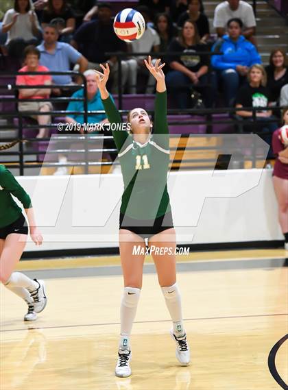 Thumbnail 3 in Basha @ Hamilton photogallery.