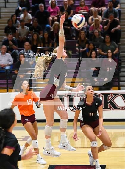 Thumbnail 3 in Basha @ Hamilton photogallery.