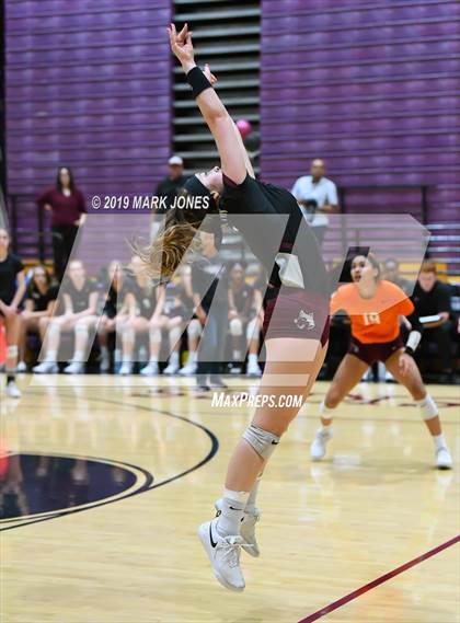 Thumbnail 2 in Basha @ Hamilton photogallery.